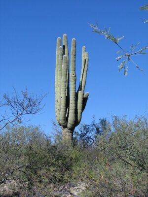 arizona-landscape-640x480-36820572.jpeg