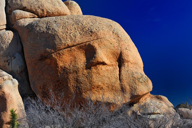arizona landscape