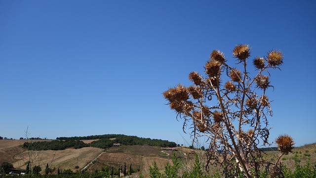 heating-cooling-640x480-46021685.jpeg