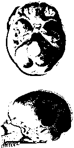 human-640x480-9256800.png